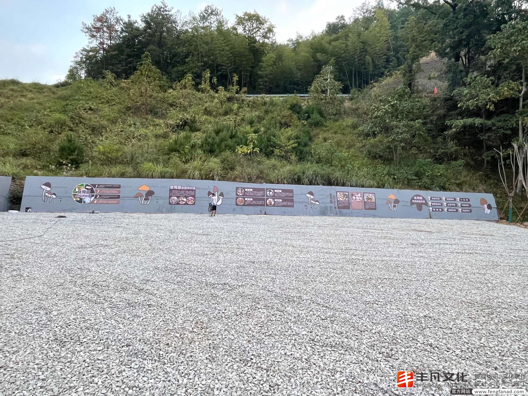 食用菌食用蘑菇科普文化墙施工现场04.jpg