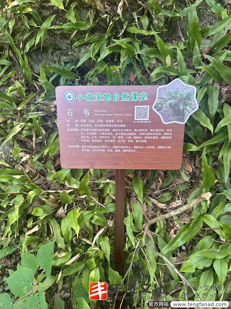 全套小微湿地科普标识牌、宣传栏、万向指导示牌、精神保垒、树牌、科普铭牌、安全警示牌、科普宣传牌。08.jpg